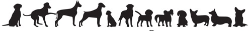 Dogs Line Shutterstock 2326269665